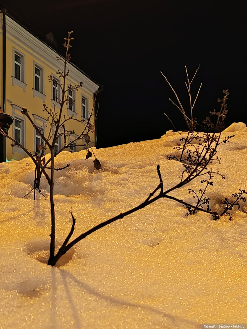 Мои пупсики или Три медведя