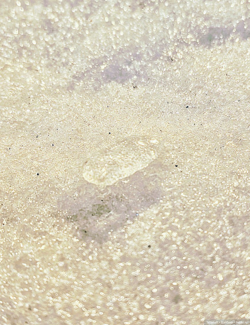 Мои пупсики или Три медведя (фото 5)