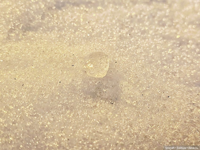 Мои пупсики или Три медведя (фото 10)