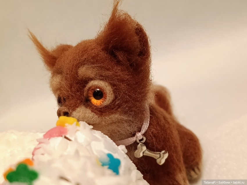 Приключения у праздничного тортика