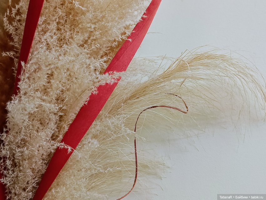 Приключения у праздничного тортика (фото 2)