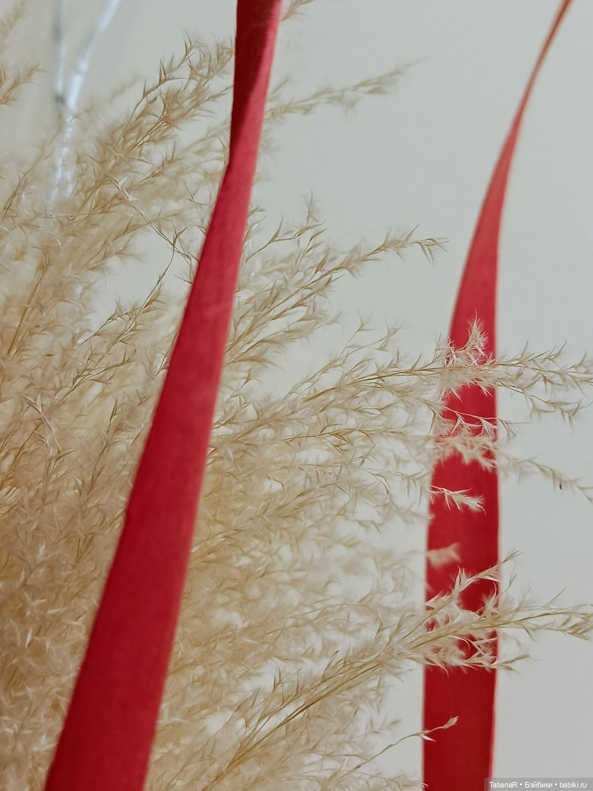 Приключения у праздничного тортика (фото 3)