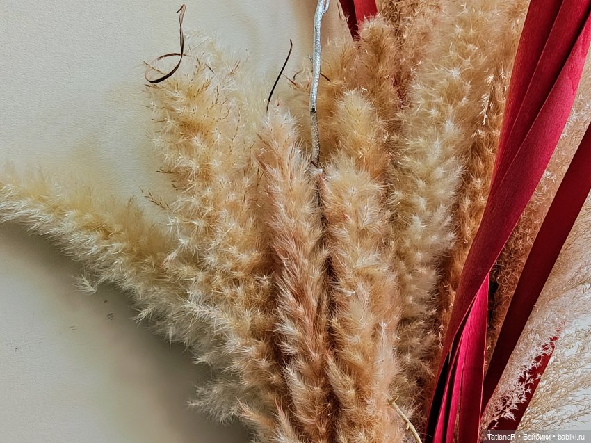 Приключения у праздничного тортика (фото 4)