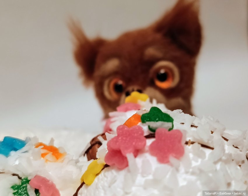 Флориан и друг его, Ирвин Ял (фото 8)