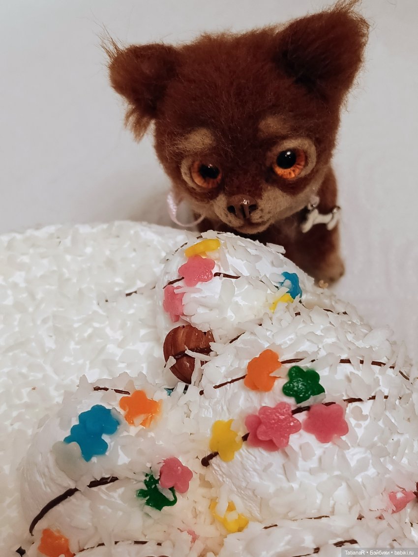 Флориан и друг его, Ирвин Ял (фото 9)