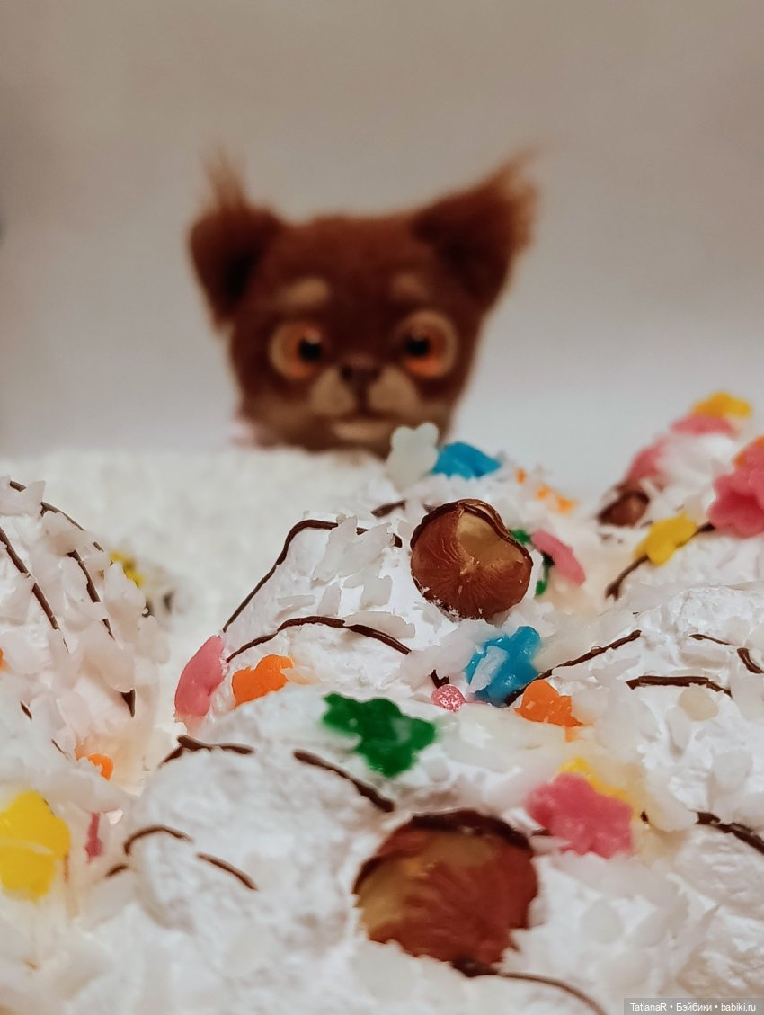 Флориан и друг его, Ирвин Ял (фото 6)