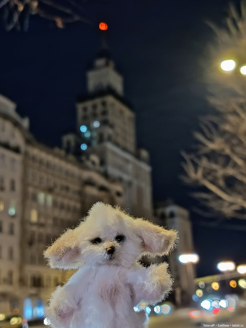 Фенёк и Москва — Авторские мишки Тедди и друзья: фото