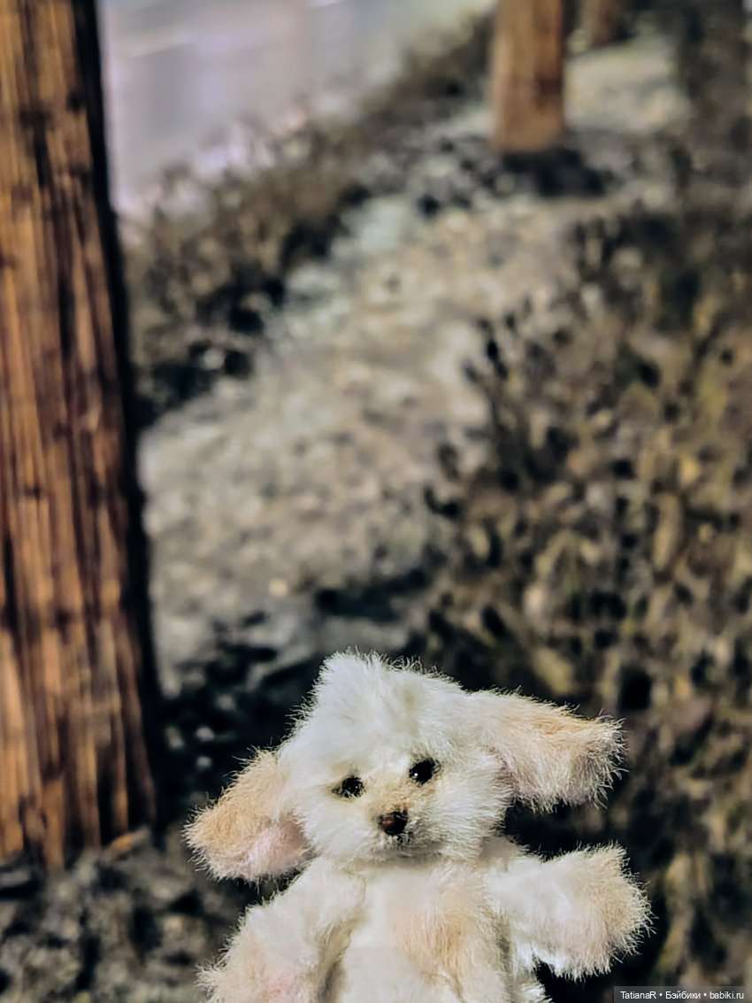 Фенёк и Москва — Авторские мишки Тедди и друзья: фото