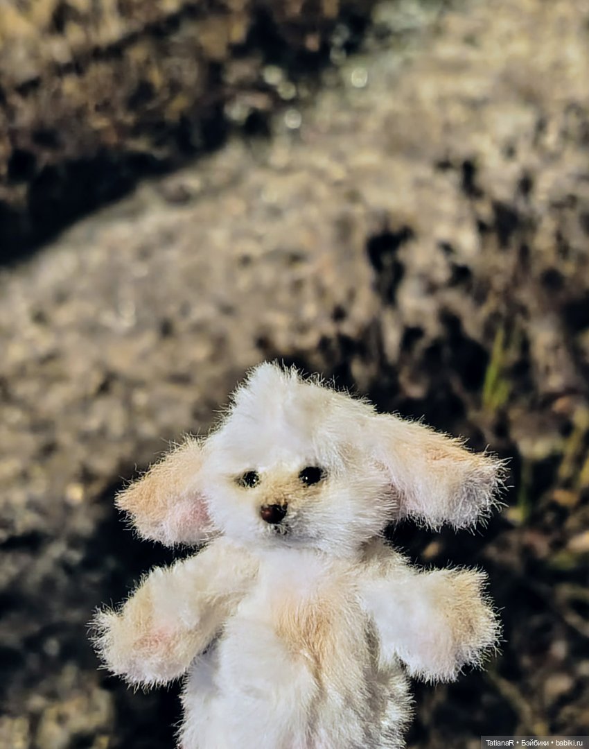 Фенёк и Москва — Авторские мишки Тедди и друзья: фото