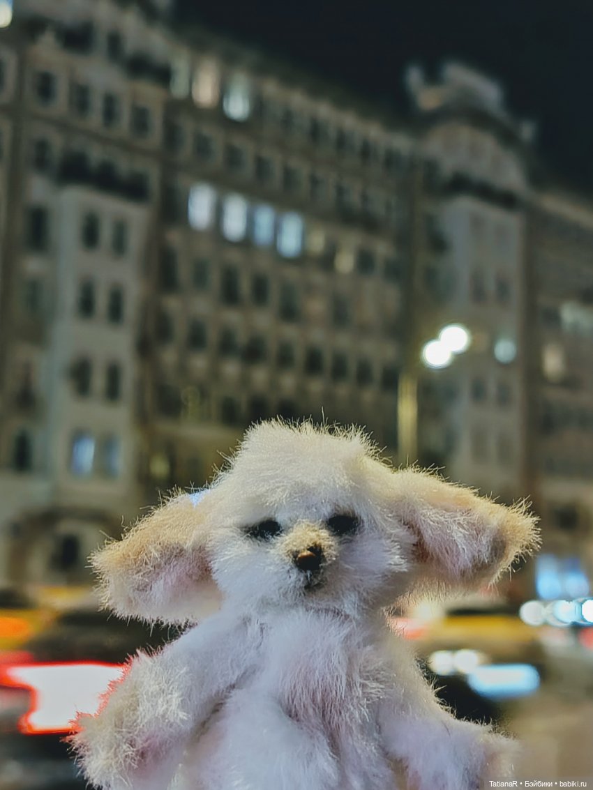 Фенёк и Москва — Авторские мишки Тедди и друзья: фото