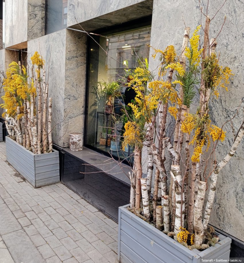 Фенёк и Москва — Авторские мишки Тедди и друзья: фото