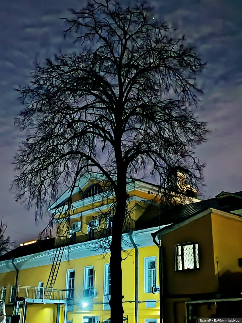 Фенёк и Москва — Авторские мишки Тедди и друзья: фото