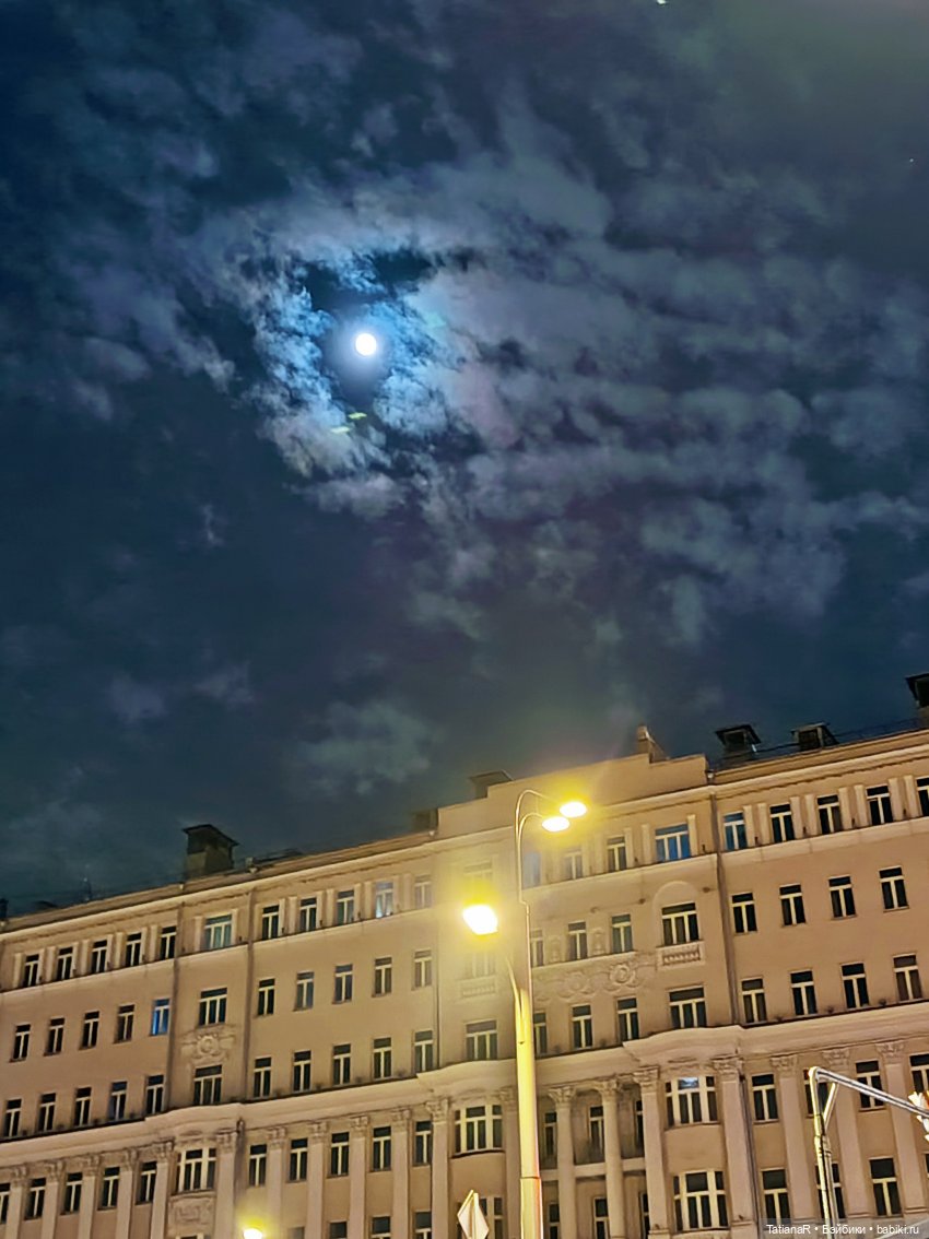 Фенёк и Москва — Авторские мишки Тедди и друзья: фото