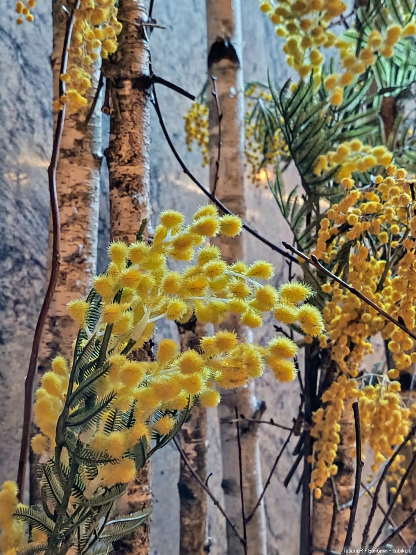 Фенёк и Москва — Авторские мишки Тедди и друзья: фото