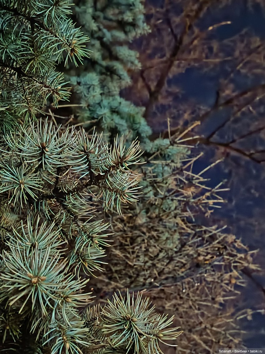 Фенёк и Москва — Авторские мишки Тедди и друзья: фото