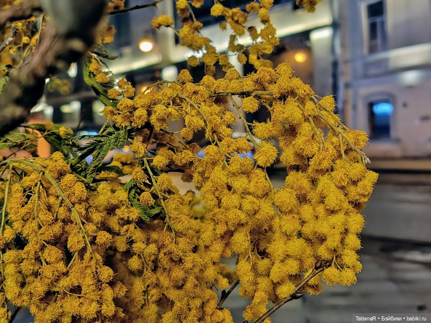 Фенёк и Москва — Авторские мишки Тедди и друзья: фото