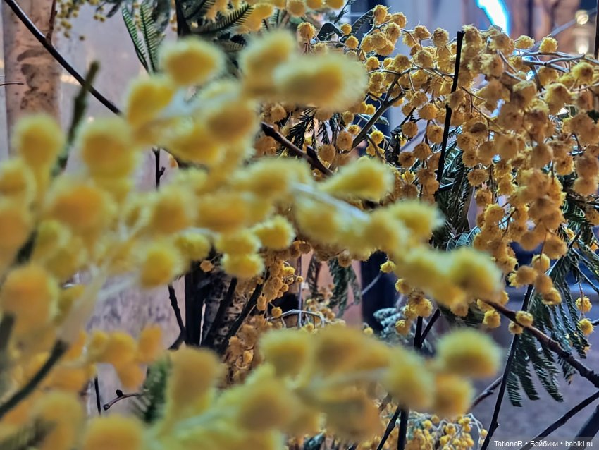 Фенёк и Москва — Авторские мишки Тедди и друзья: фото