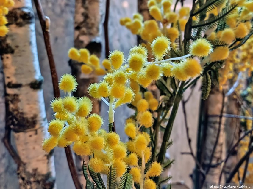 Фенёк и Москва — Авторские мишки Тедди и друзья: фото