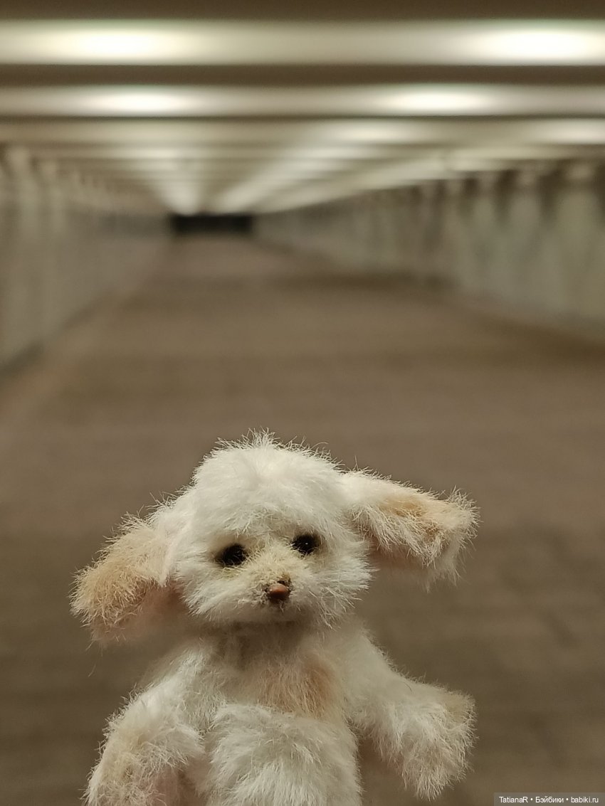 Фенёк и Москва — Авторские мишки Тедди и друзья: фото