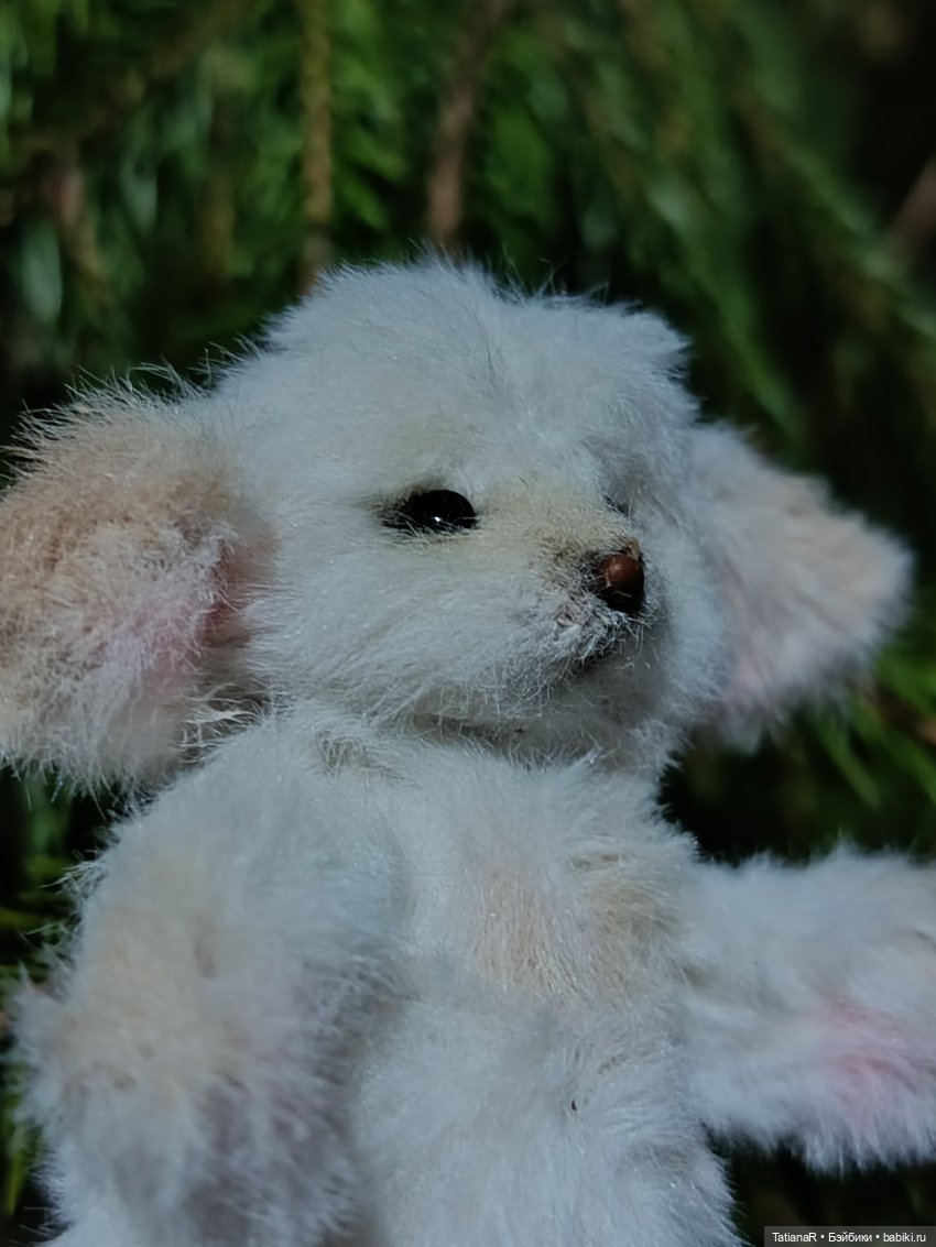 Фенёк и Москва — Авторские мишки Тедди и друзья: фото