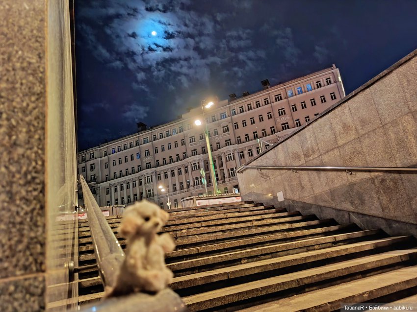 Фенёк и Москва — Авторские мишки Тедди и друзья: фото