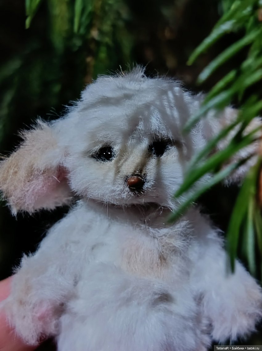 Фенёк и Москва — Авторские мишки Тедди и друзья: фото