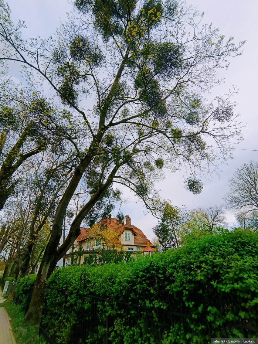 Калининградский ребёнок — Игровые куклы разных производителей (Разное): редкие бренды