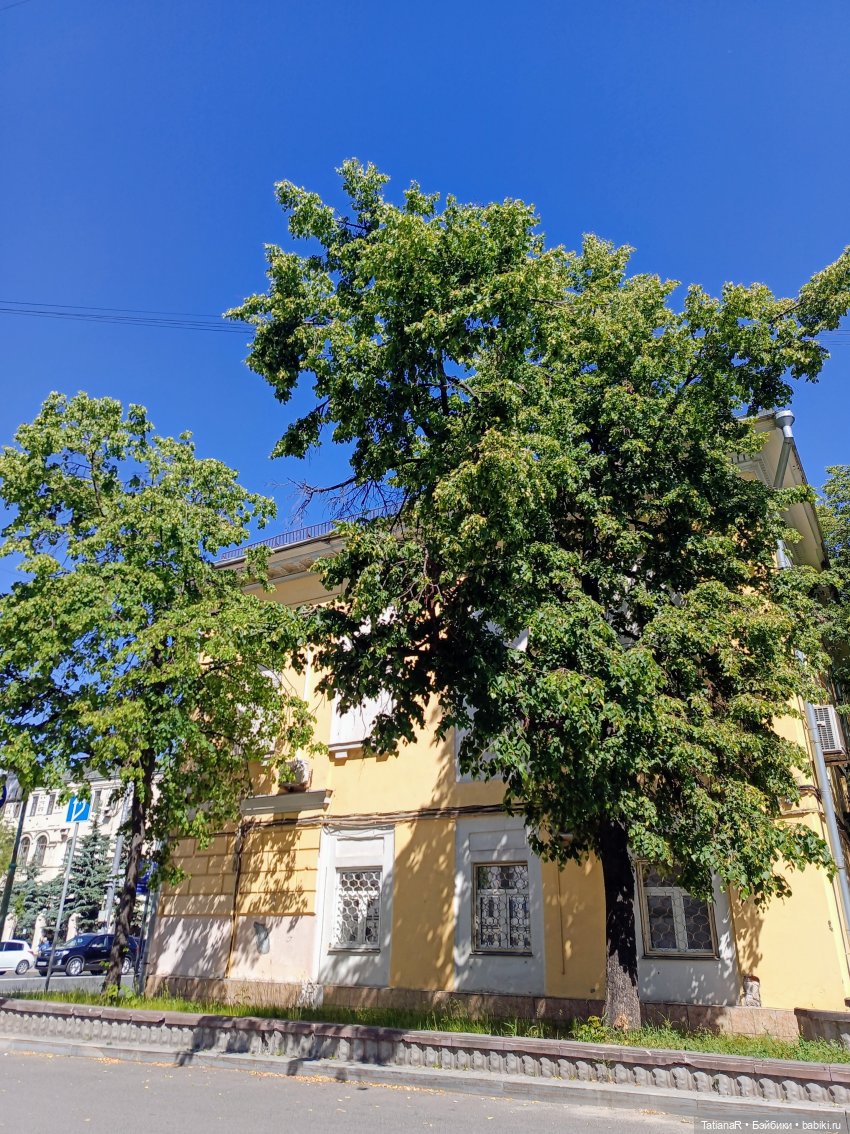 Марфа. Золотое чудо от волшебной Оксаны Мироновой