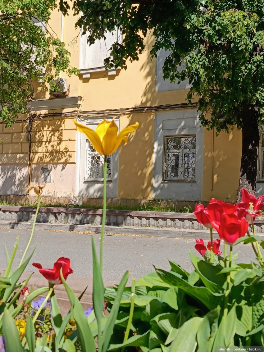 Марфа. Золотое чудо от волшебной Оксаны Мироновой