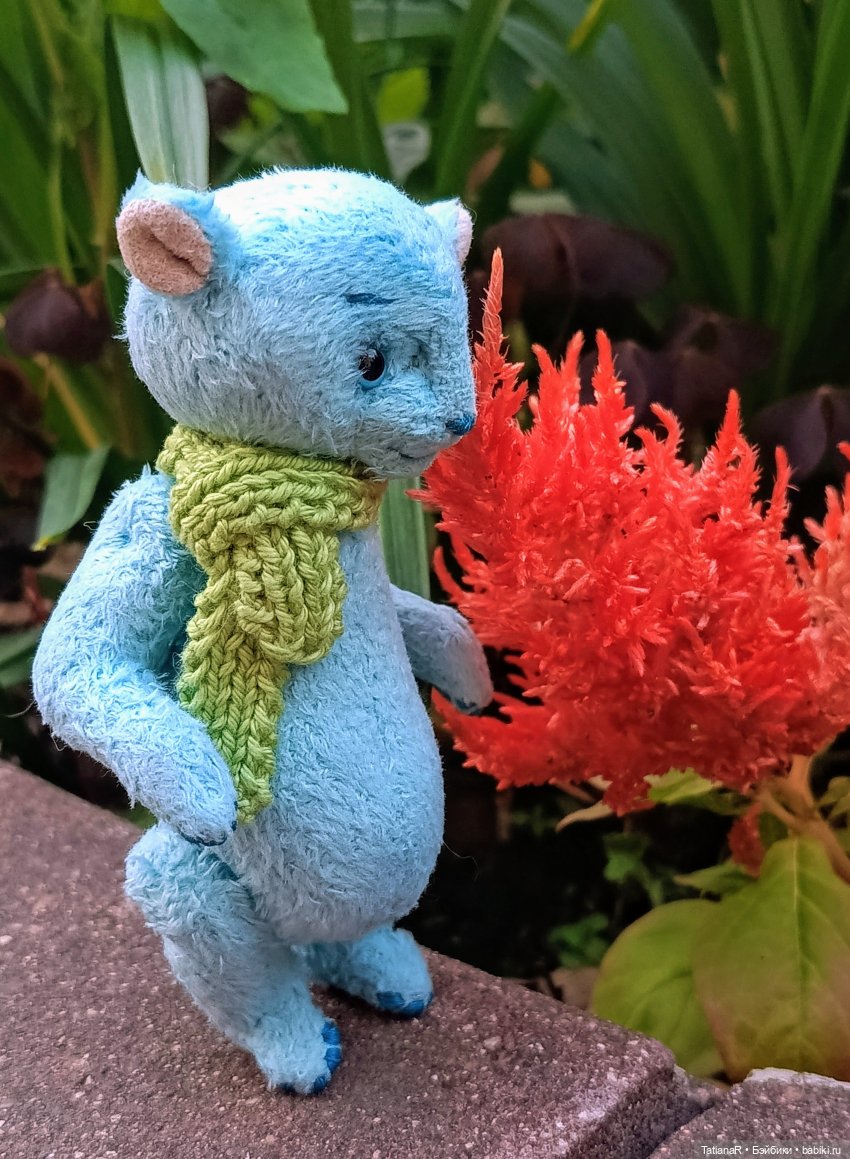 Вежливый Евгений и не вежливый скандал