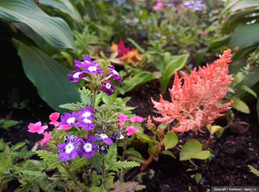 Вежливый Евгений и не вежливый скандал