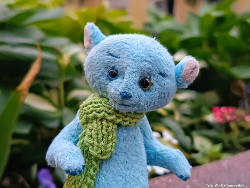 Вежливый Евгений и не вежливый скандал