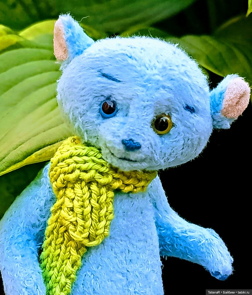 Вежливый Евгений и не вежливый скандал