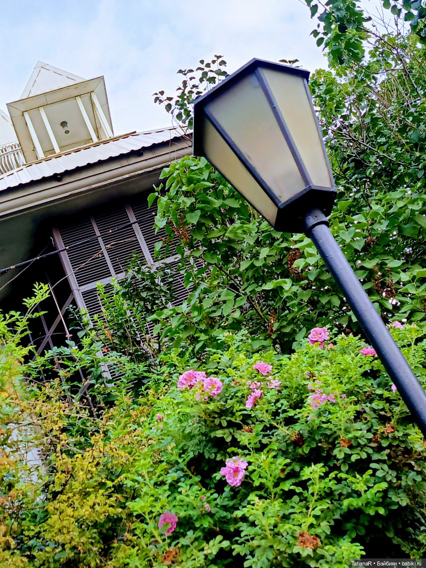 Как мои куклы в наряды наряжались и друг другом любовались! И ещё, о разном (фото 5)