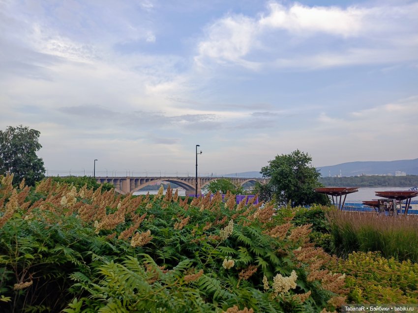 Ника на Енисее — Куклы Miroxdolls (Оксана Миронова): российские БЖД (фото 4)