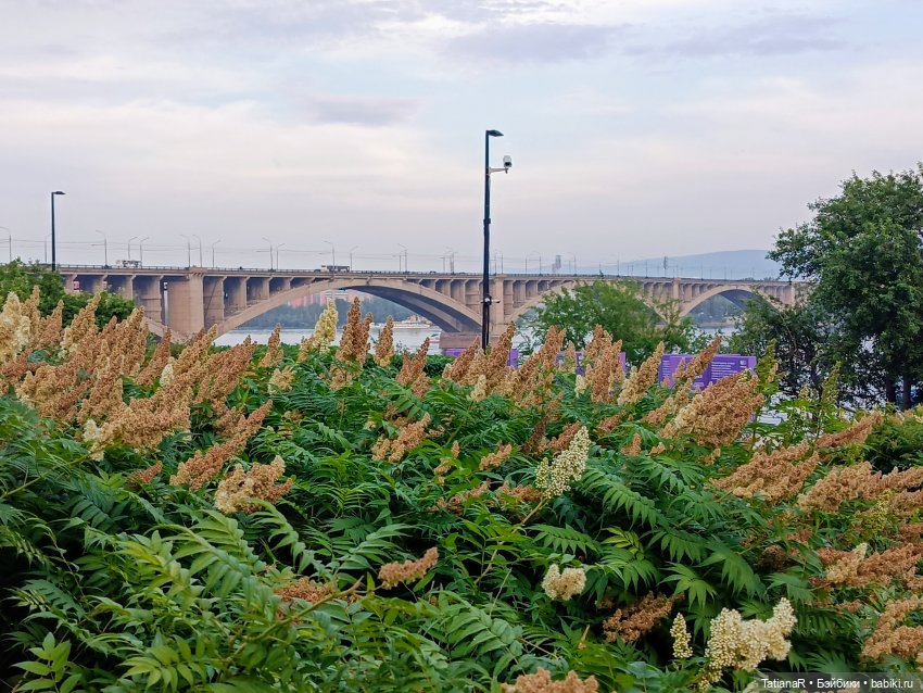 Ника на Енисее — Куклы Miroxdolls (Оксана Миронова): российские БЖД (фото 6)