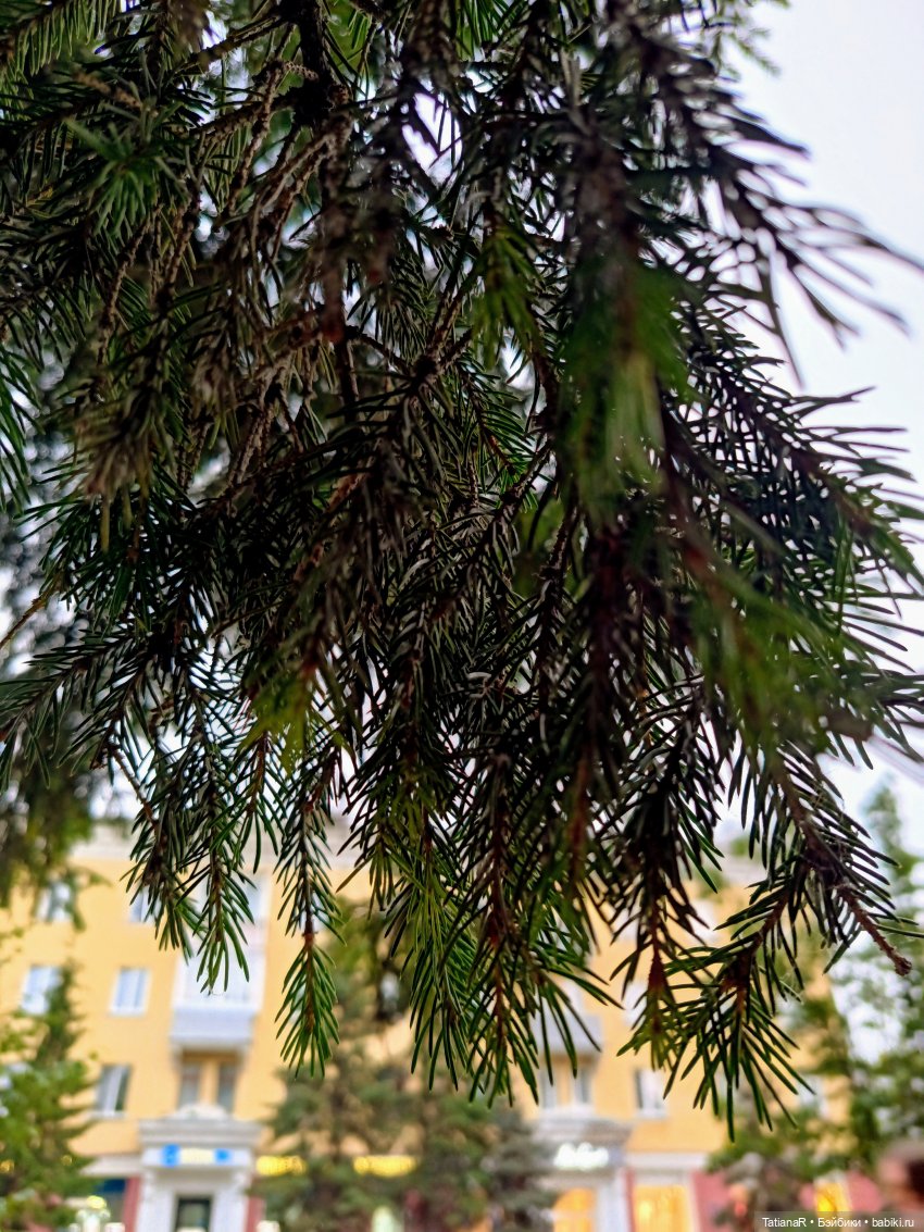 Ника на Енисее — Куклы Miroxdolls (Оксана Миронова): российские БЖД