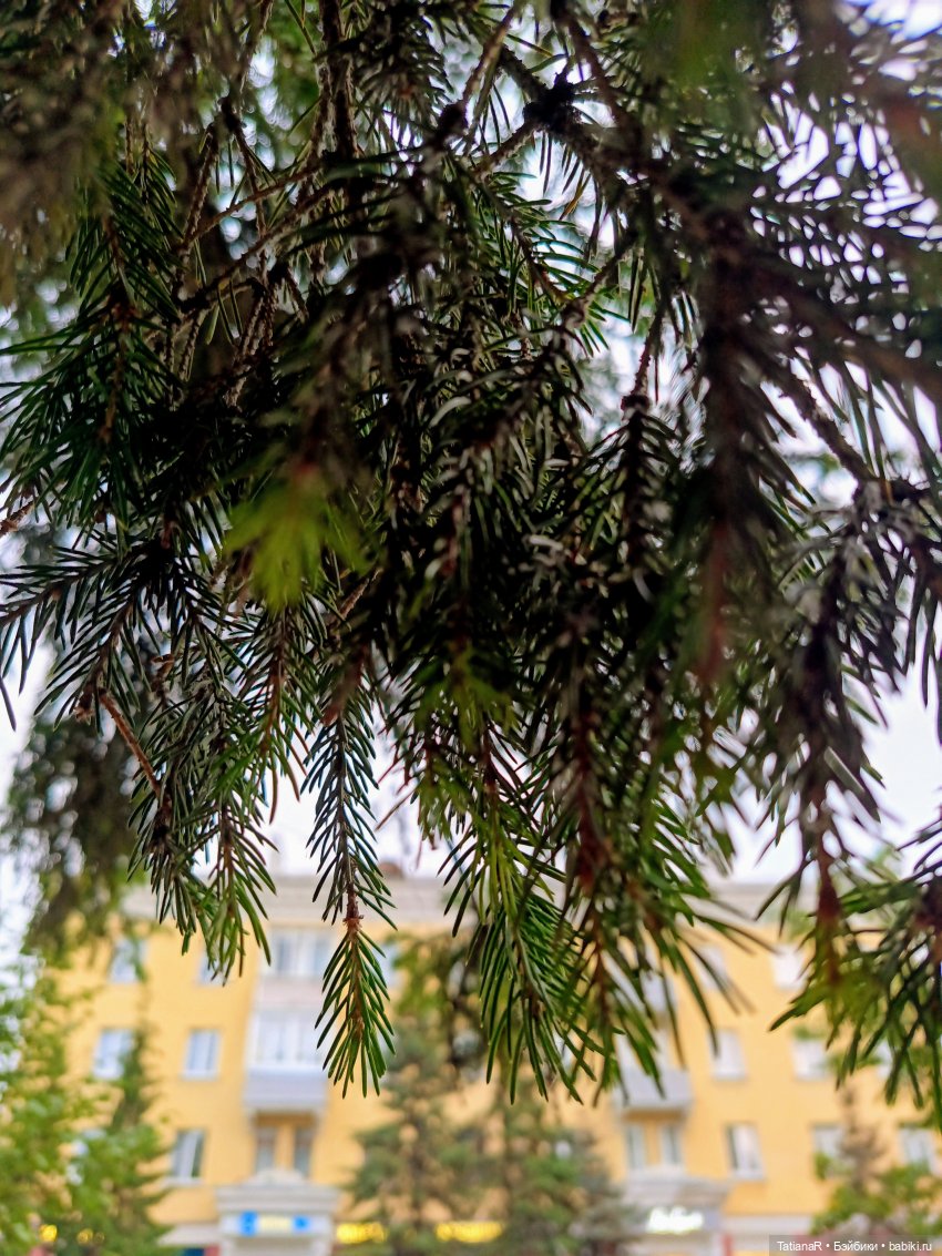 Ника на Енисее — Куклы Miroxdolls (Оксана Миронова): российские БЖД