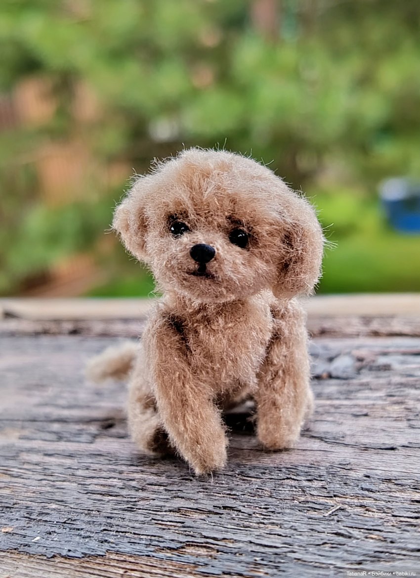 Рассказ одного загадочного карапузика от первого лица