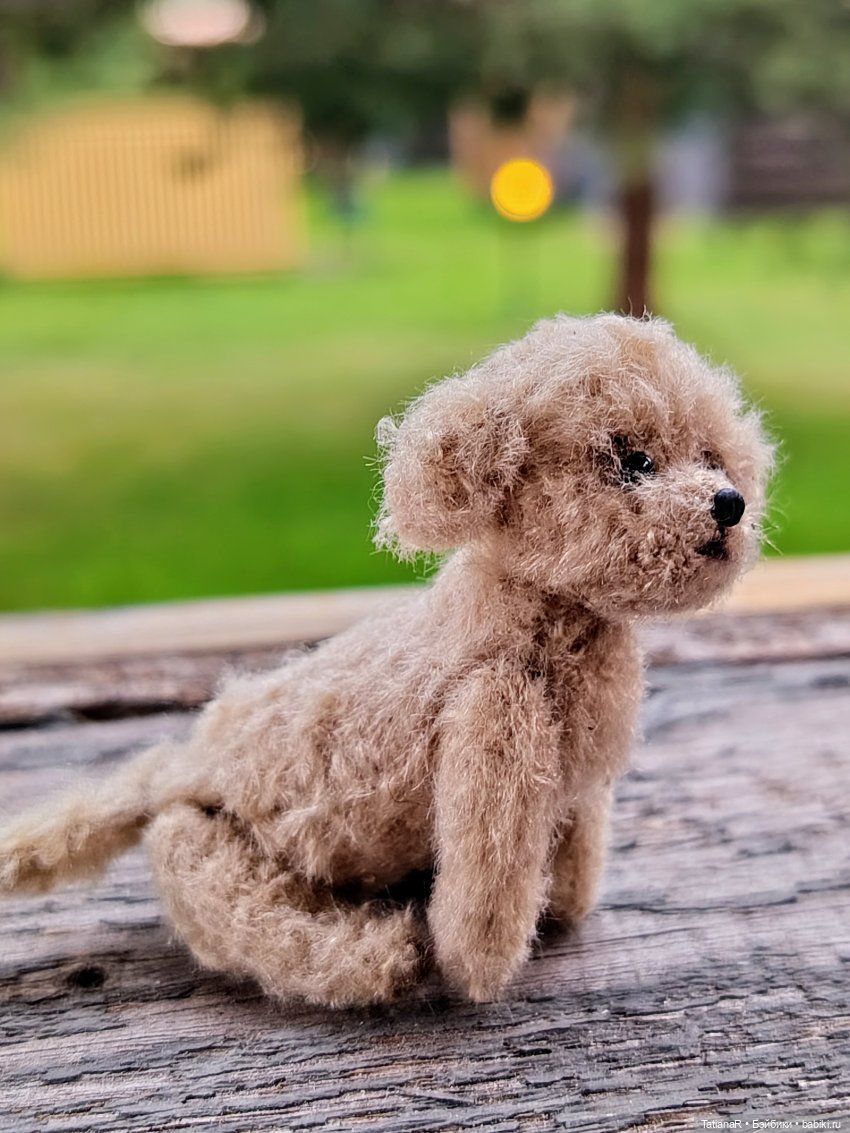 Рассказ одного загадочного карапузика от первого лица