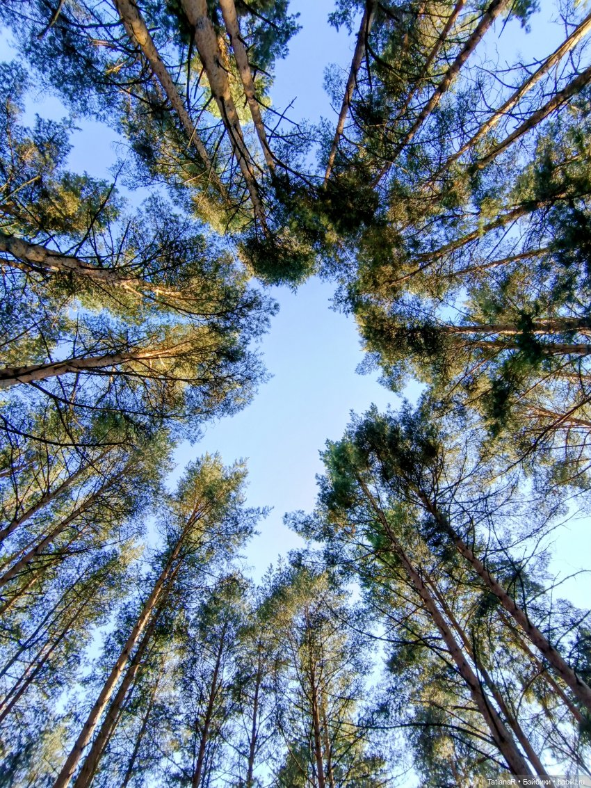 Дорога на пляж — Куклы Nines d'Onil (Нинес): Миа (Mia) (фото 6)