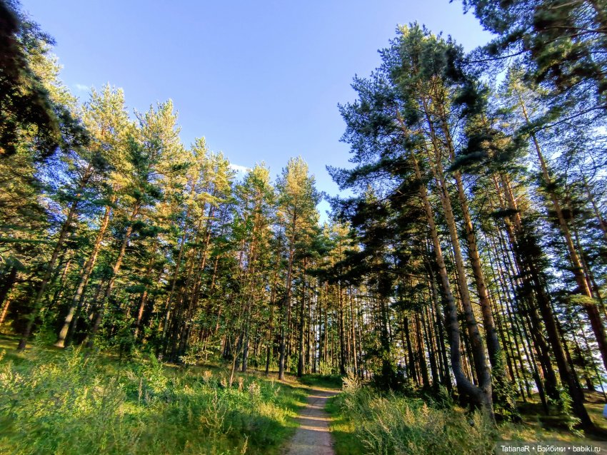 Дорога на пляж — Куклы Nines d'Onil (Нинес): Миа (Mia) (фото 8)