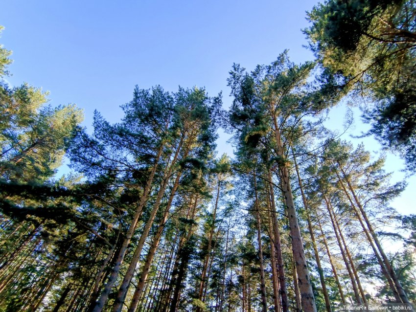 Дорога на пляж — Куклы Nines d'Onil (Нинес): Миа (Mia) (фото 7)