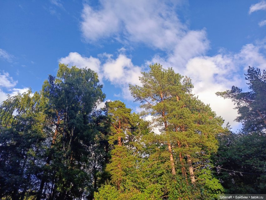 Дорога на пляж — Куклы Nines d'Onil (Нинес): Миа (Mia) (фото 9)