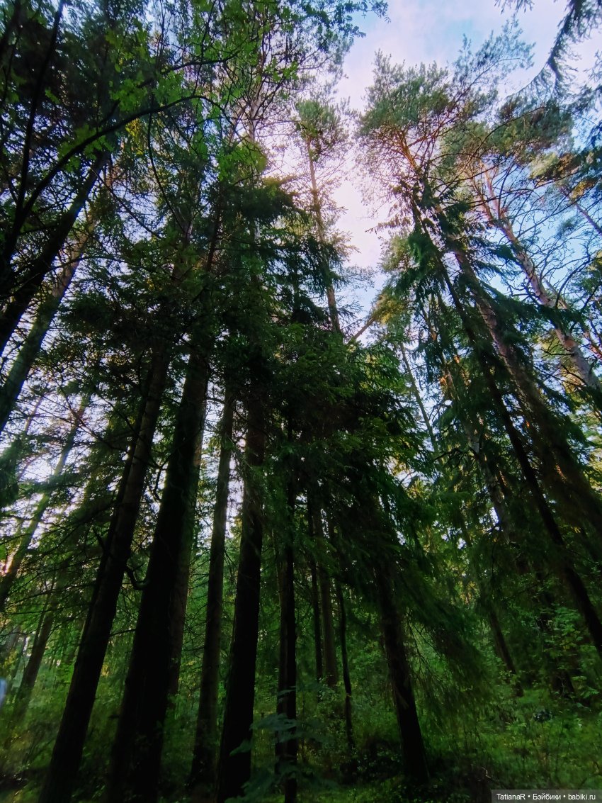 Дорога на пляж — Куклы Nines d'Onil (Нинес): Миа (Mia) (фото 10)