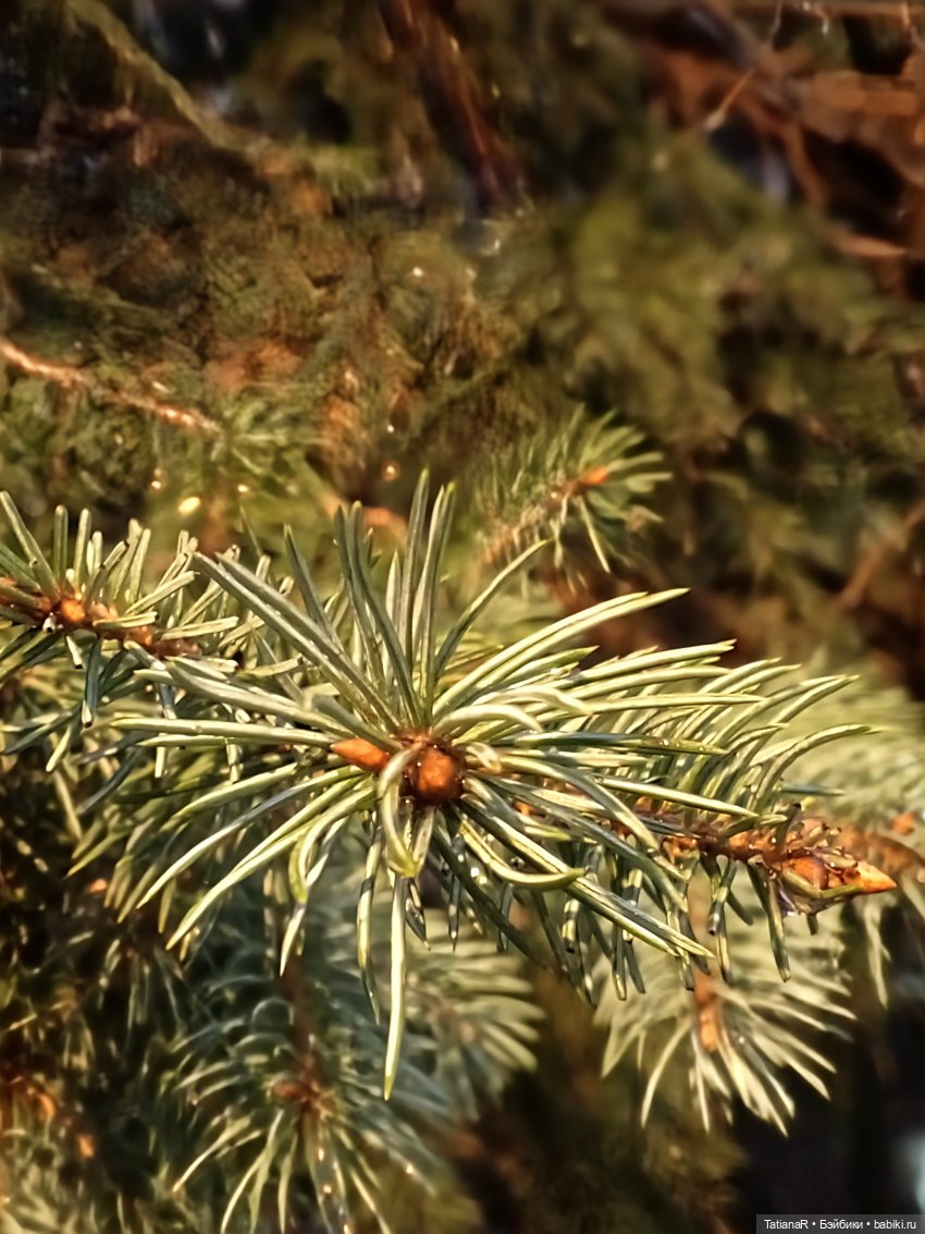 Аллочка и непоседы Лабубу (фото 9)