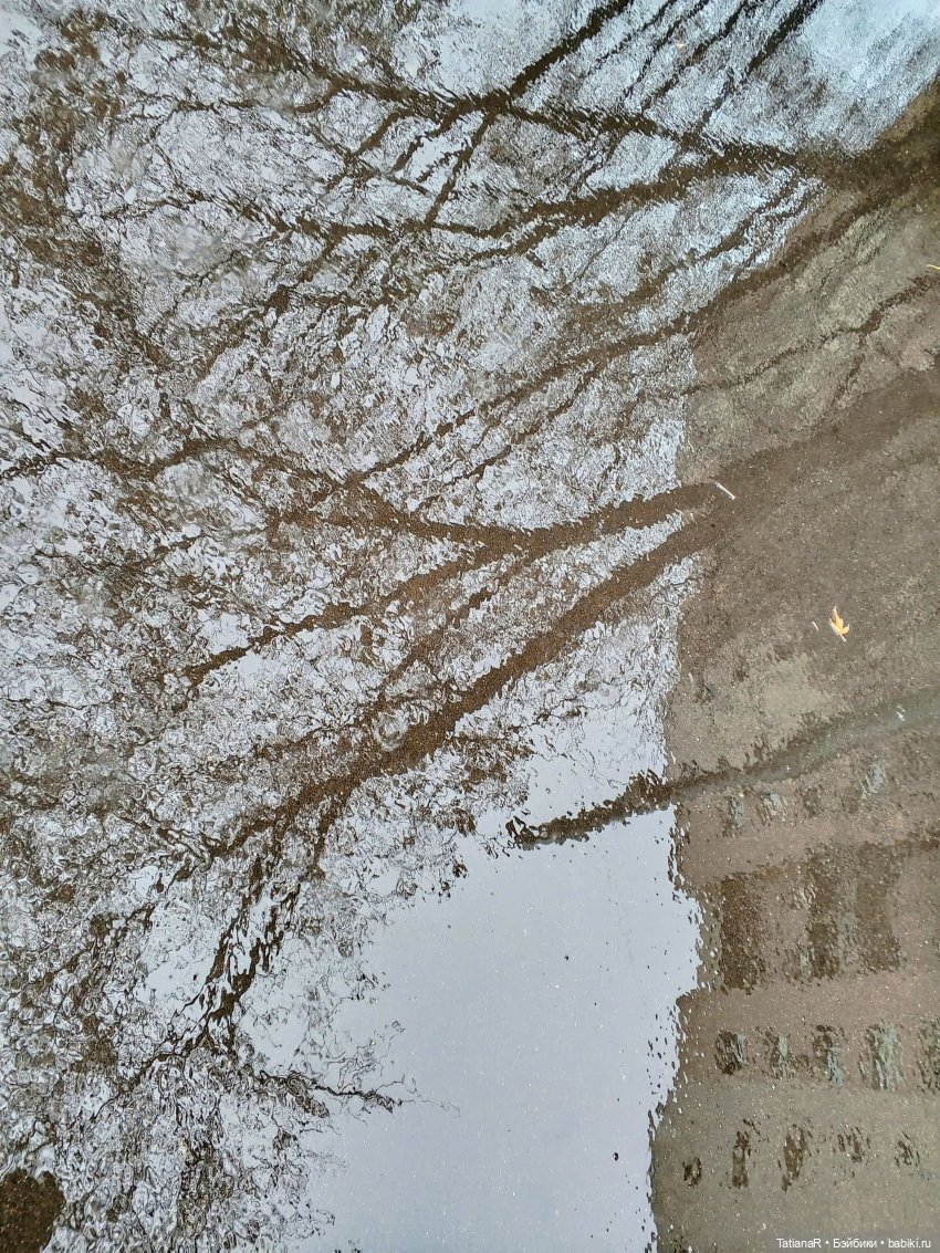 Аллочка и непоседы Лабубу (фото 3)