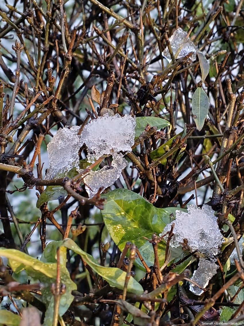 Аллочка и непоседы Лабубу