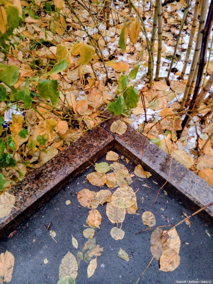 Аллочка и непоседы Лабубу