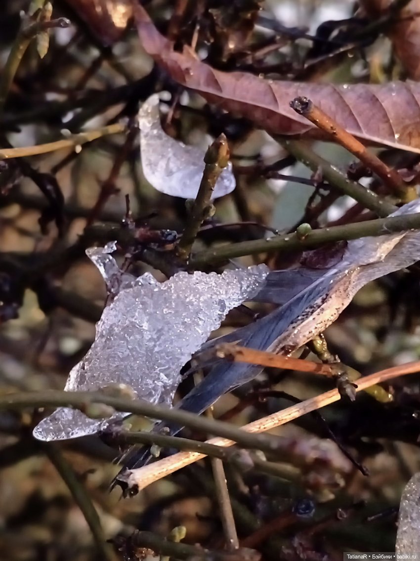 Аллочка и непоседы Лабубу